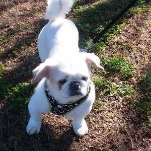 Meet your Posher, Courtney